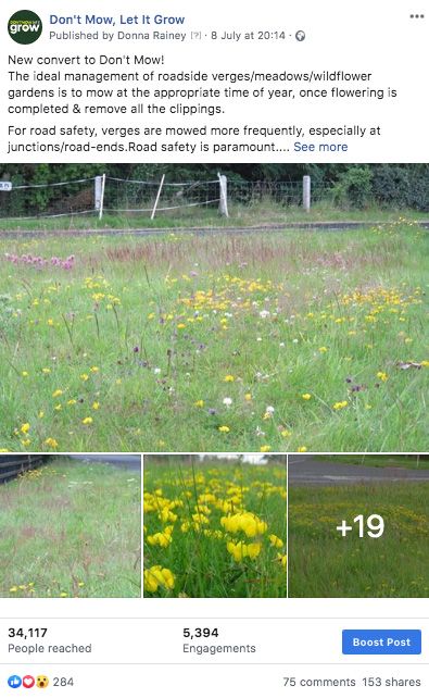 dont mow let it grow facebook post